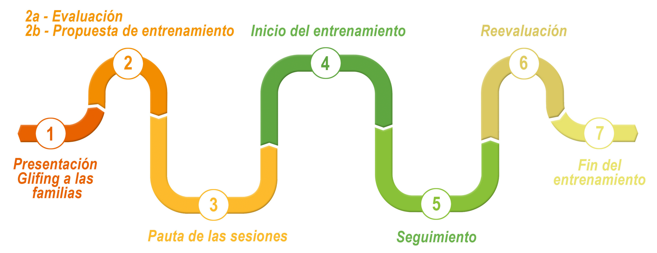 Camino del profesional