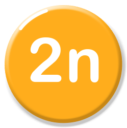 2n